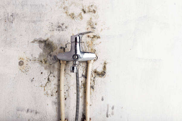 Best Commercial Mold Remediation in Mount Hermon, CA