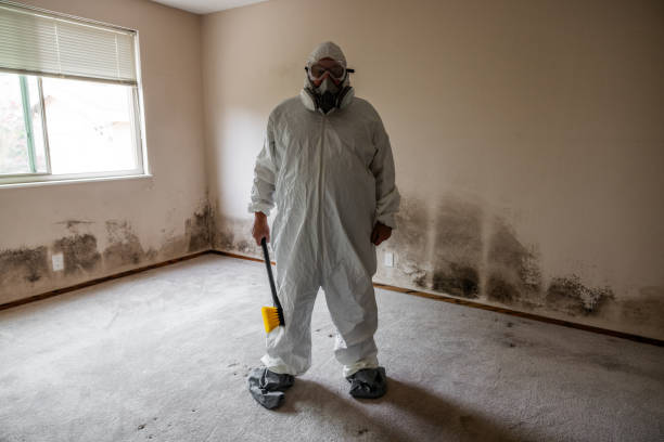 Best Preventive Mold Services in Mount Hermon, CA